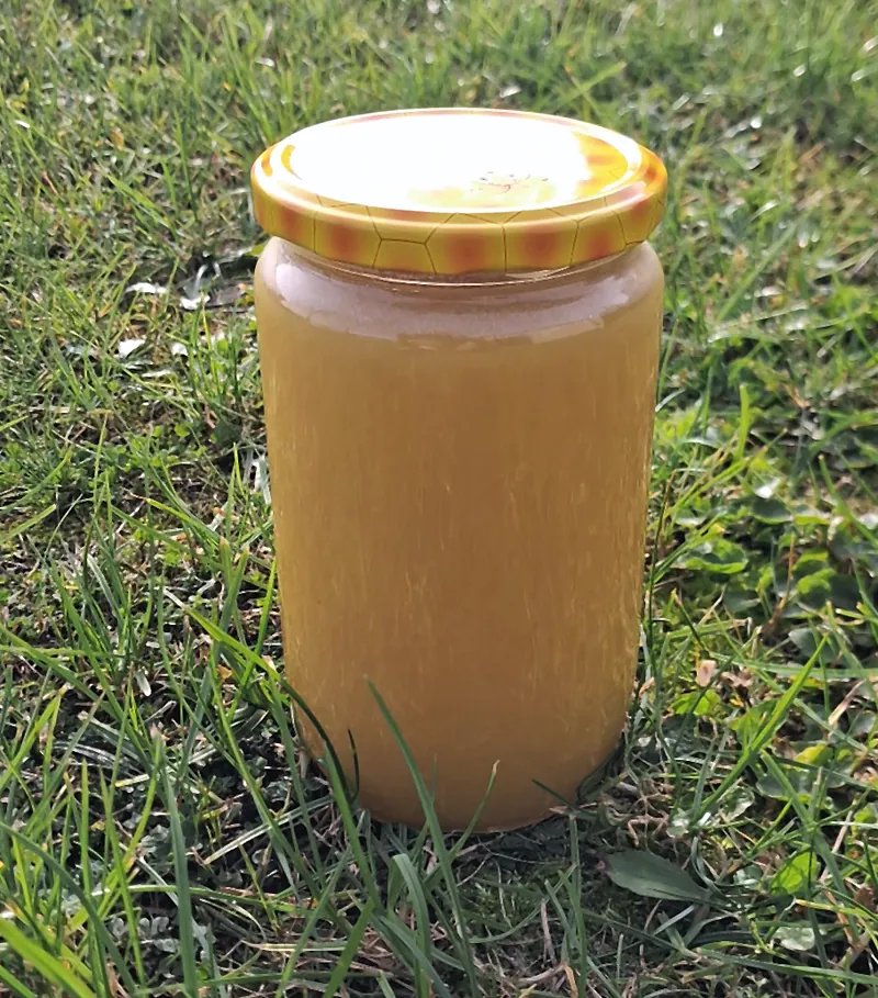 Miód lipowy w słoiku 950 g