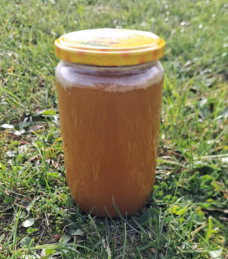Miód leśny w słoiku 950 g